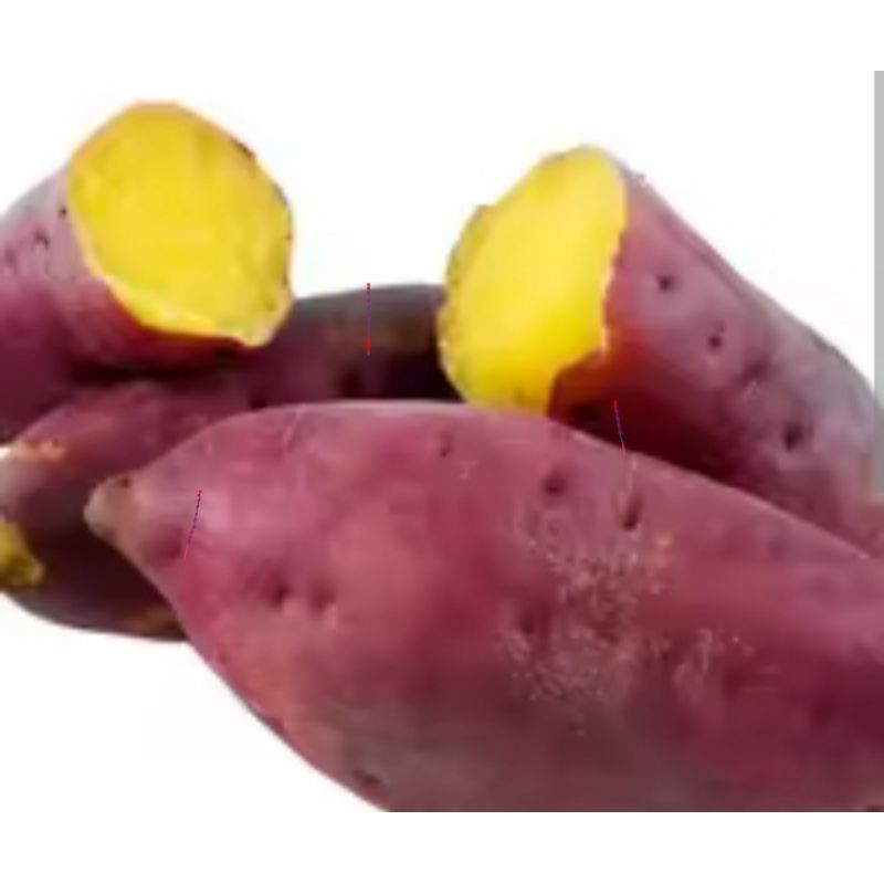 

Ketela Rambat/ubi jalar 1 Kilogram