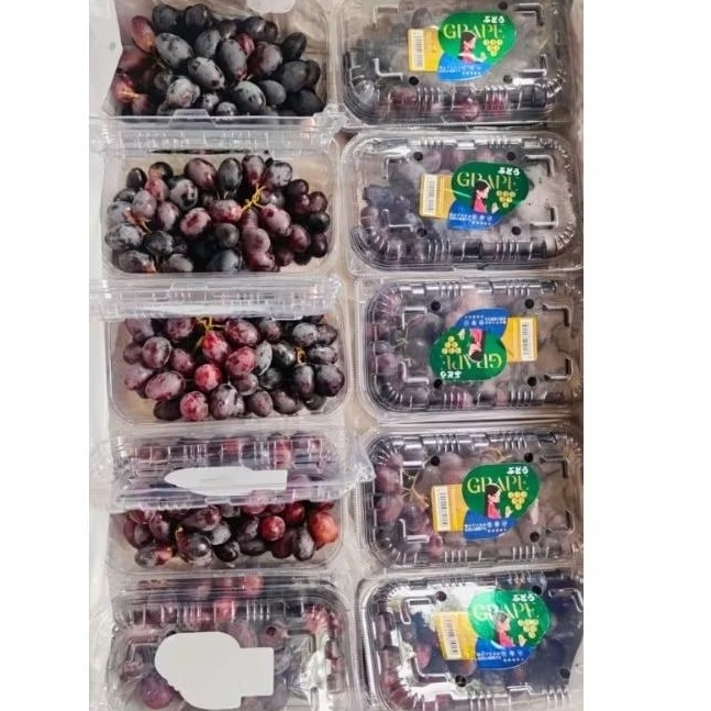 

Anggur Autumn 500gr