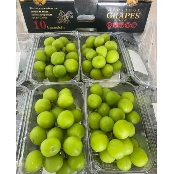

Anggur Hijau Shine Muscat Manis 500gr