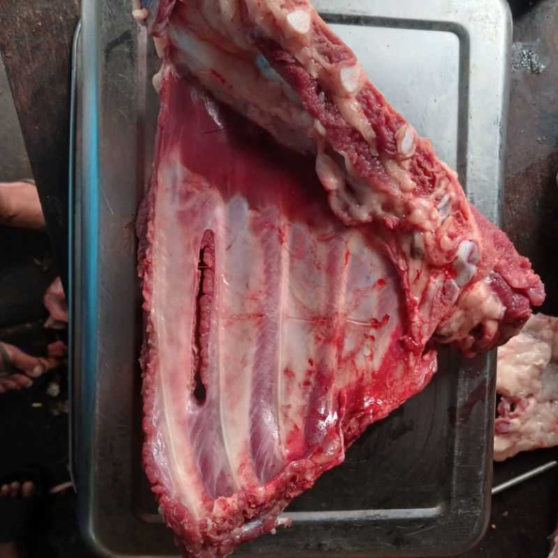 

IGA Babi/Pork Ribs Fresh -500g