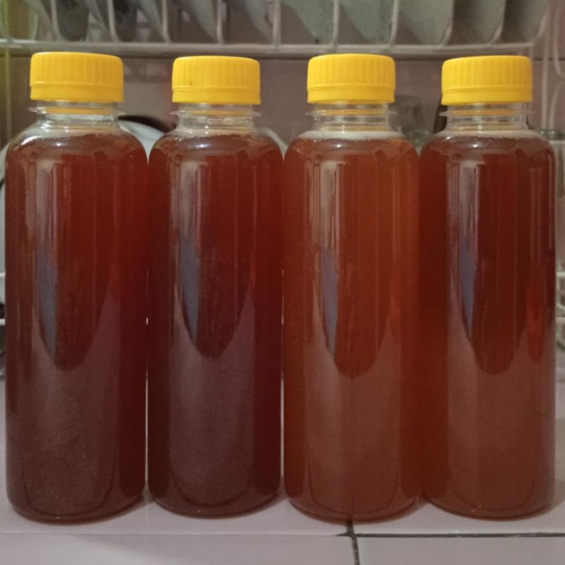 

madu klanceng murni 100%