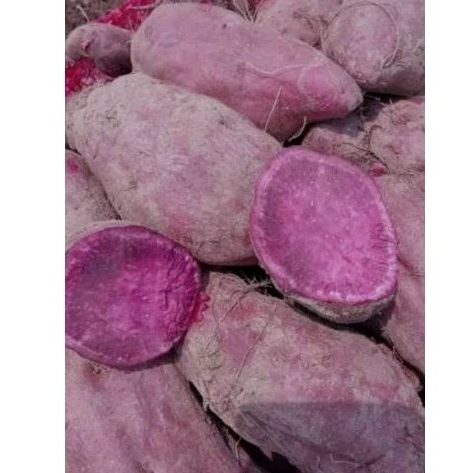 

Ubi Ungu 500 gram