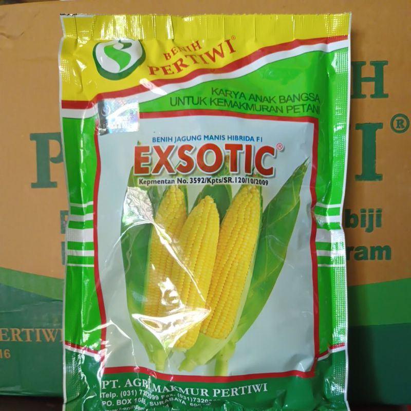 

Jagung manis exsotic 1750 butir