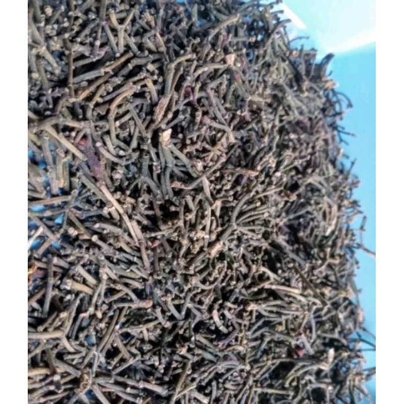 

gagang cengkeh super kering 10kg