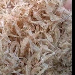 

Asin Rebon 100 gram