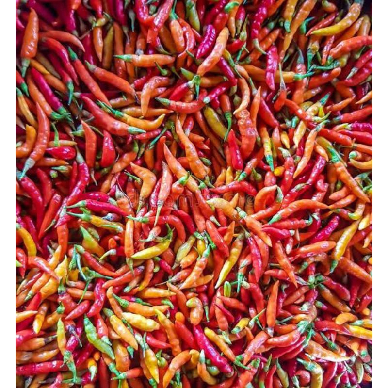 

CABE segar super pedas