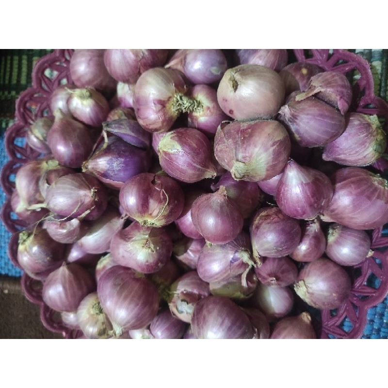 bawang_merah_Probolinggo