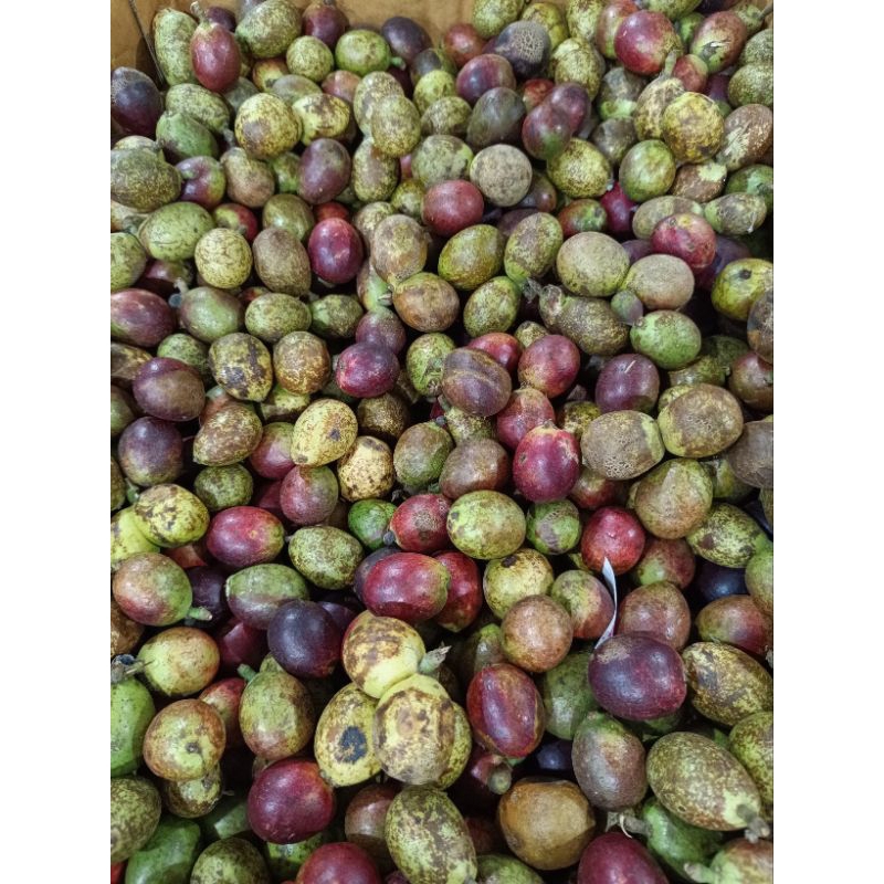 

Buah Matoa