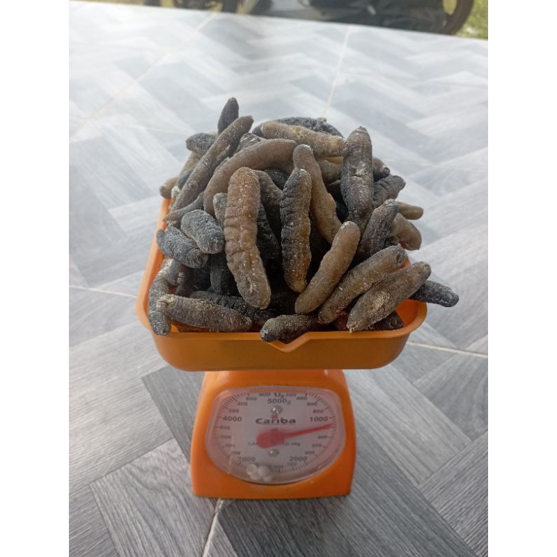 

Teripang Pasir Gosok Belitung (isi 80-100)
