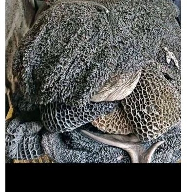 

babat 500g