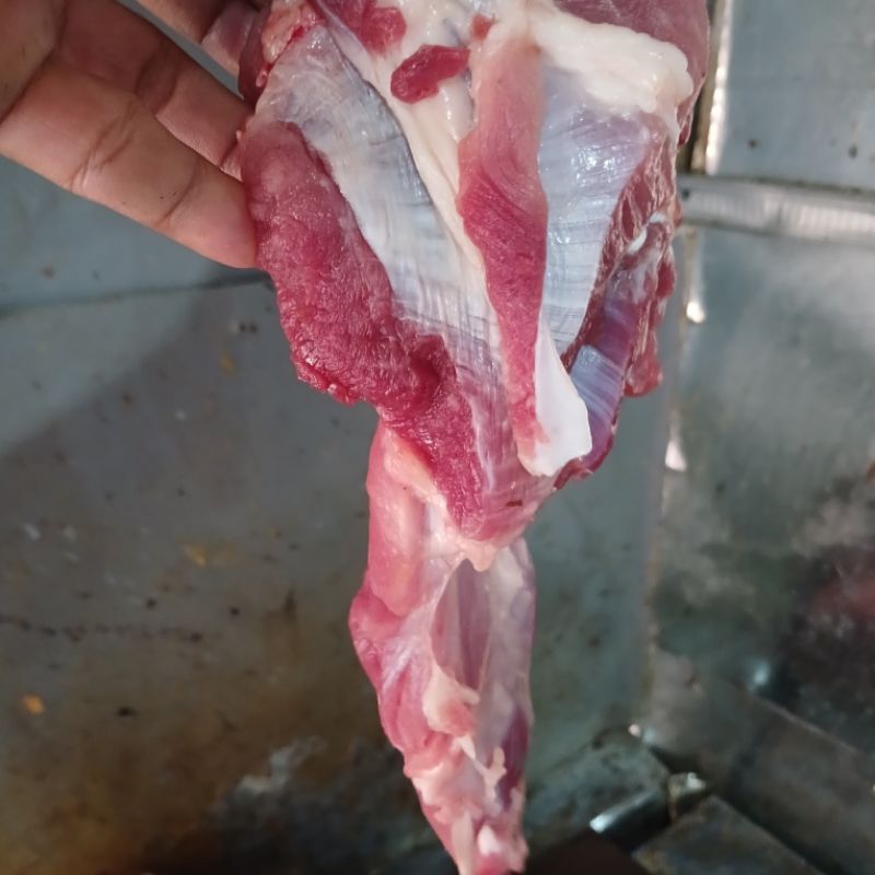 

Daging Babi Kisi Fresh -500g