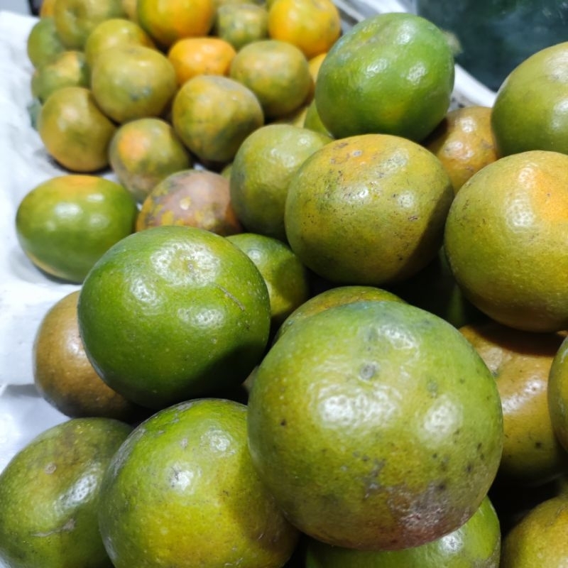 

Obral Buah Jeruk Siem Madu 1kg Kirim Instan