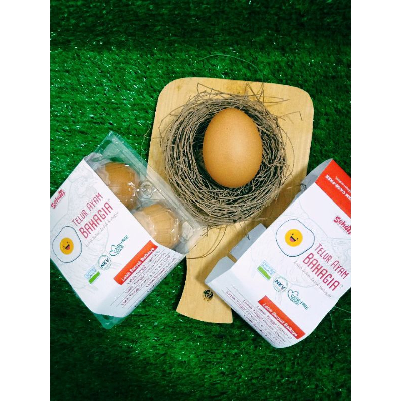 

Telur Ayam Bahagia Organik_Sehati