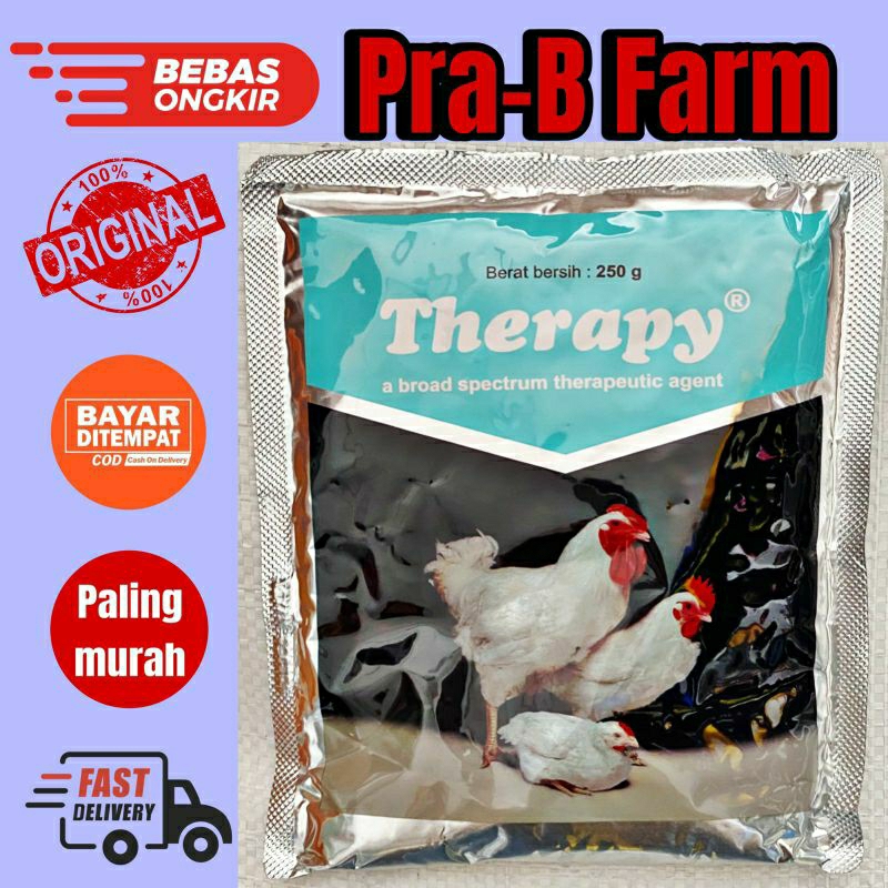 THERAPY 250 GRAM MEDION