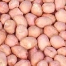 

kacang tanah 250g