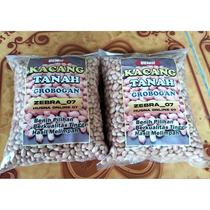 

MANTAPPP !!! 1KG BENIH KACANG TANAH GROBOGAN SUPER SIAP TANAM