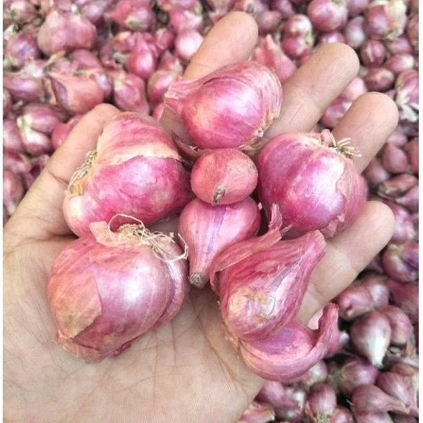 

bawang merah 1kg uk campur besar sedang kecil