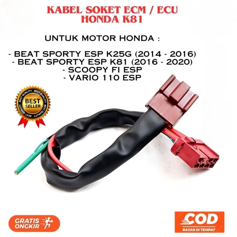 Soket Kabel ACG ECM ECU Beat FI Beat Pop Scoopy ESP Kualitas Bagus Mirip Bawaan Motor