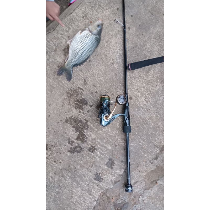 tegek,custom,ultralight.180cm