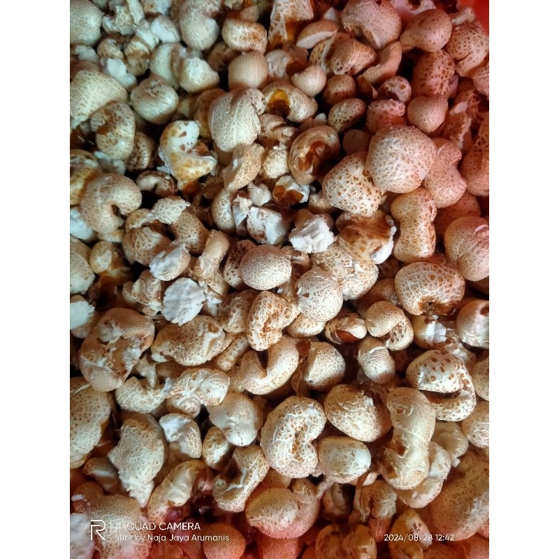 

brondong jagung 800g - 1kg popcorn jadul