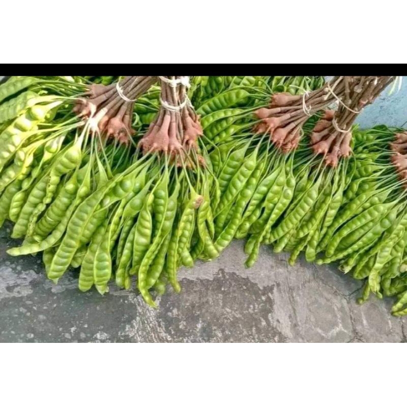 

pete/petai super/petai per 10 papan