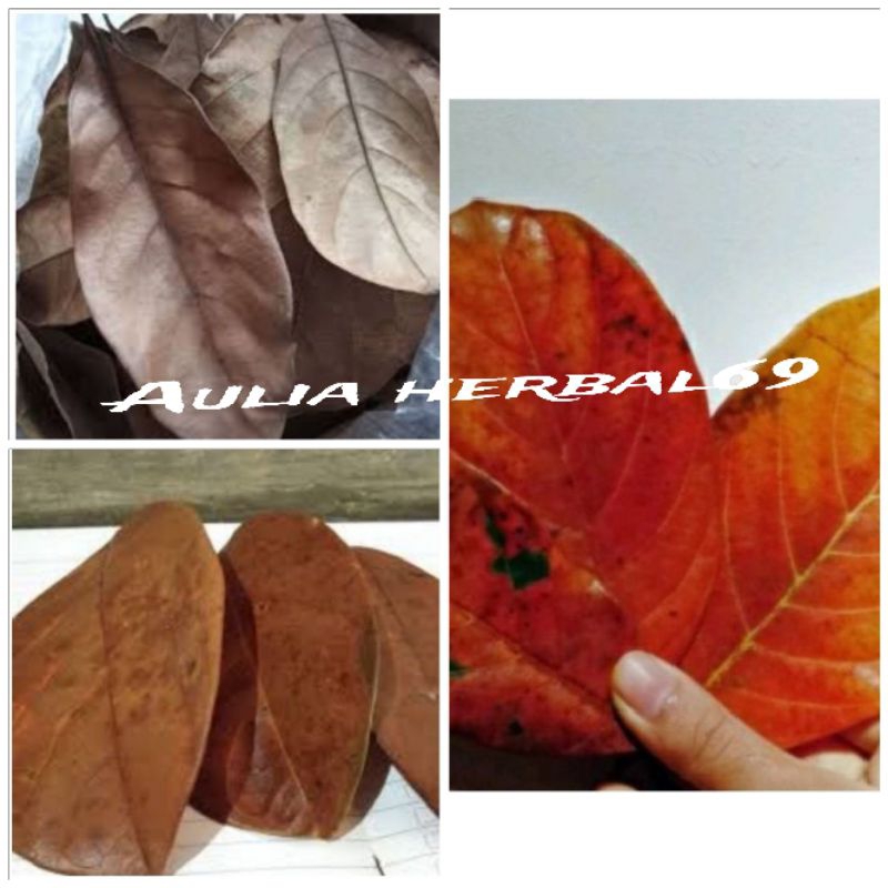 

Promo daun nangka kering per lembar