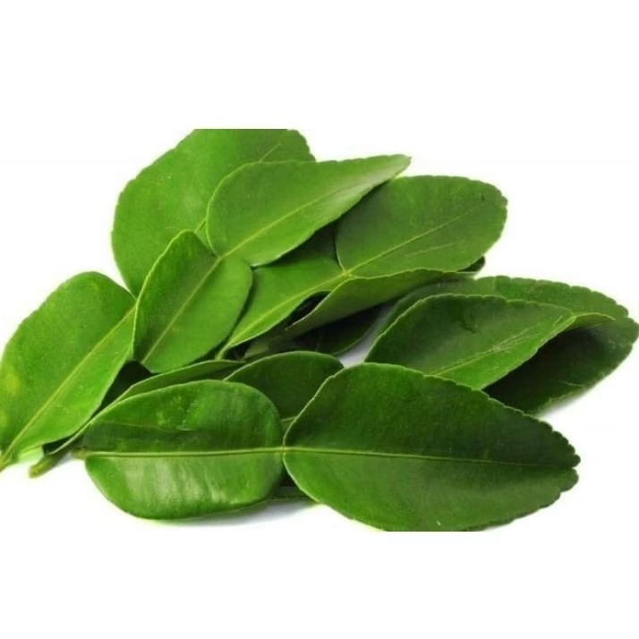 

DAUN JERUK PURUT 200 GRAM