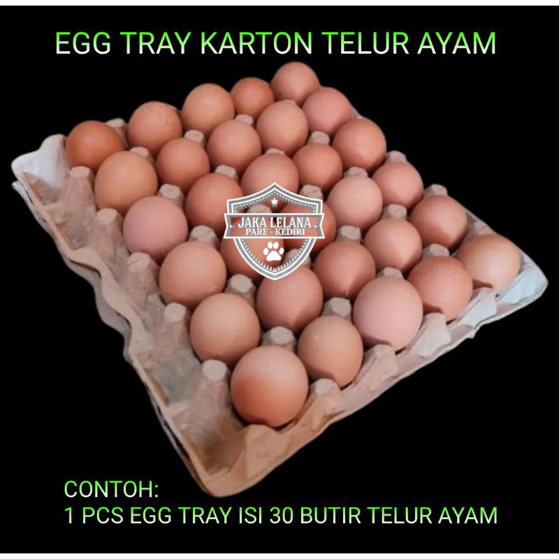 EGG TRAY KARTON TELUR AYAM / BEBEK BARU 1 IKAT ISI 70 LEMBAR