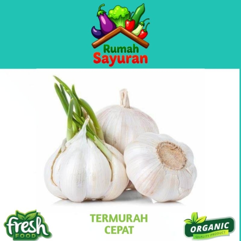 

Bawang Putih Besar 1kg Super Fresh