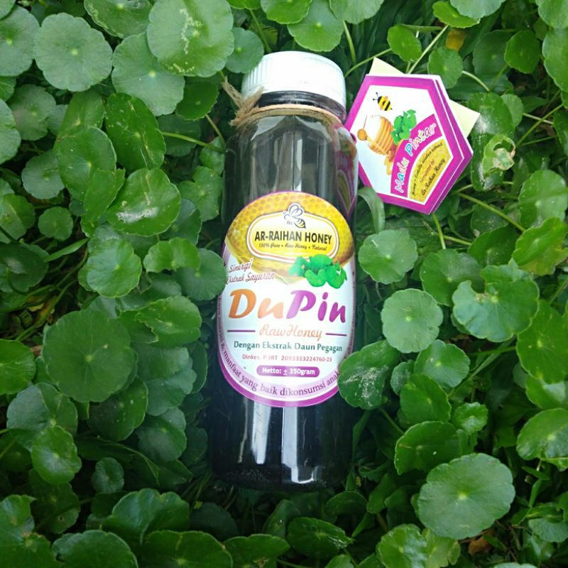 

dupin (madu pintar)