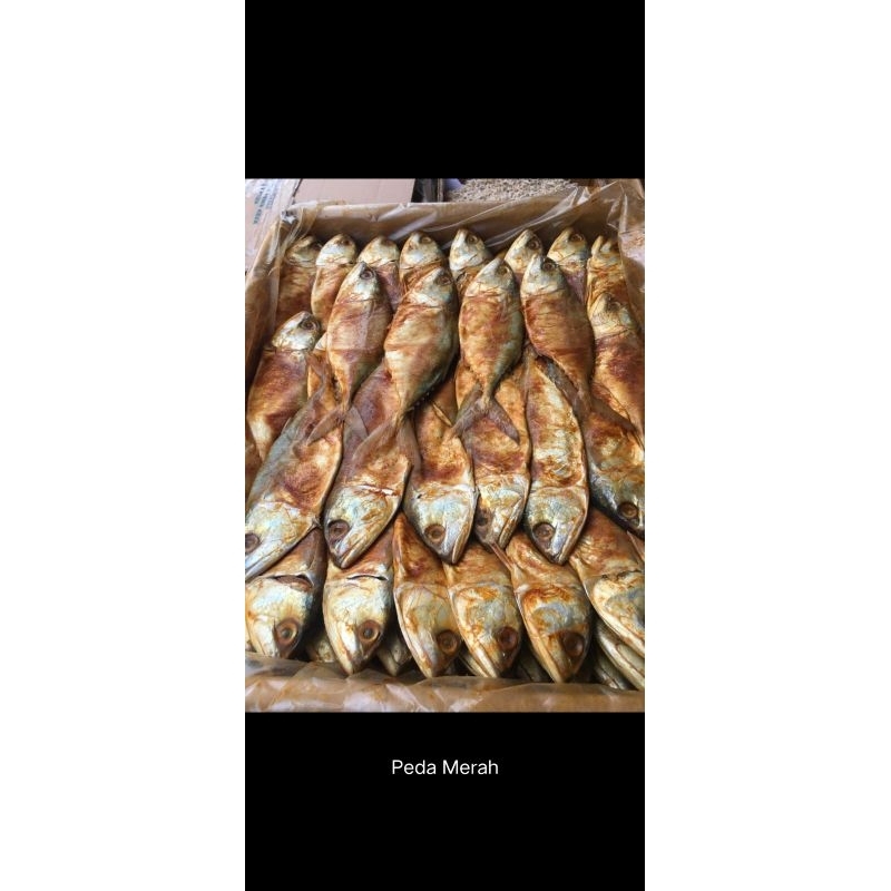 

Ikan asin peda merah berkualitas super harga murah 150gram