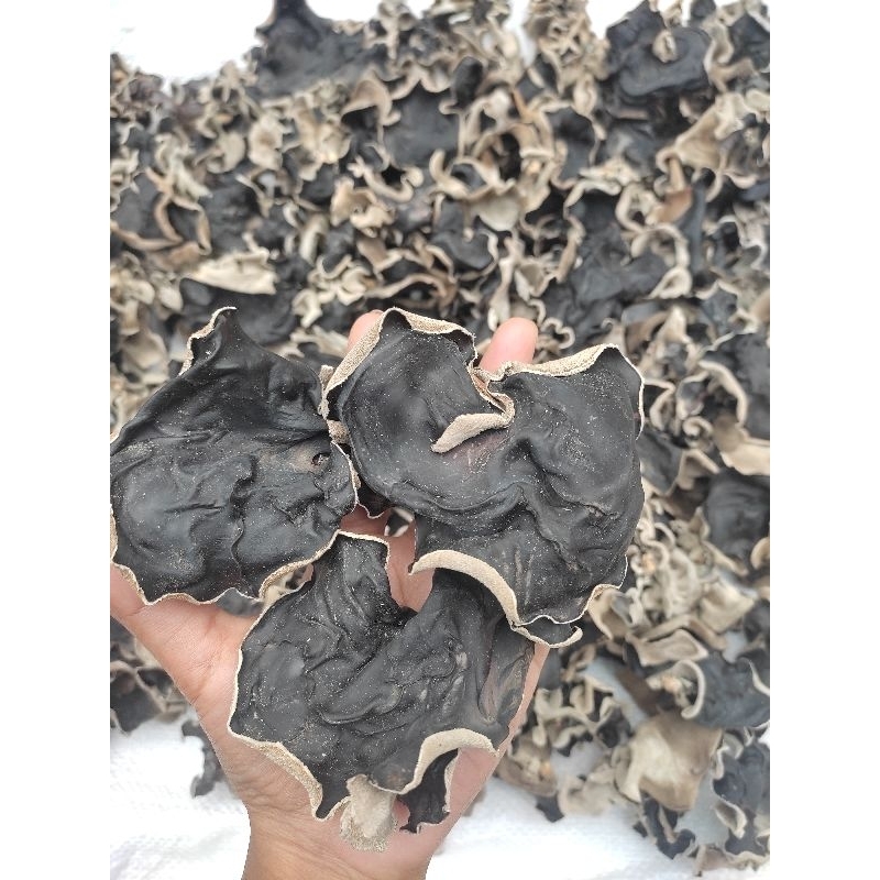 

250GR JAMUR KUPING KERING/JAMUR HITAM/GRADE A