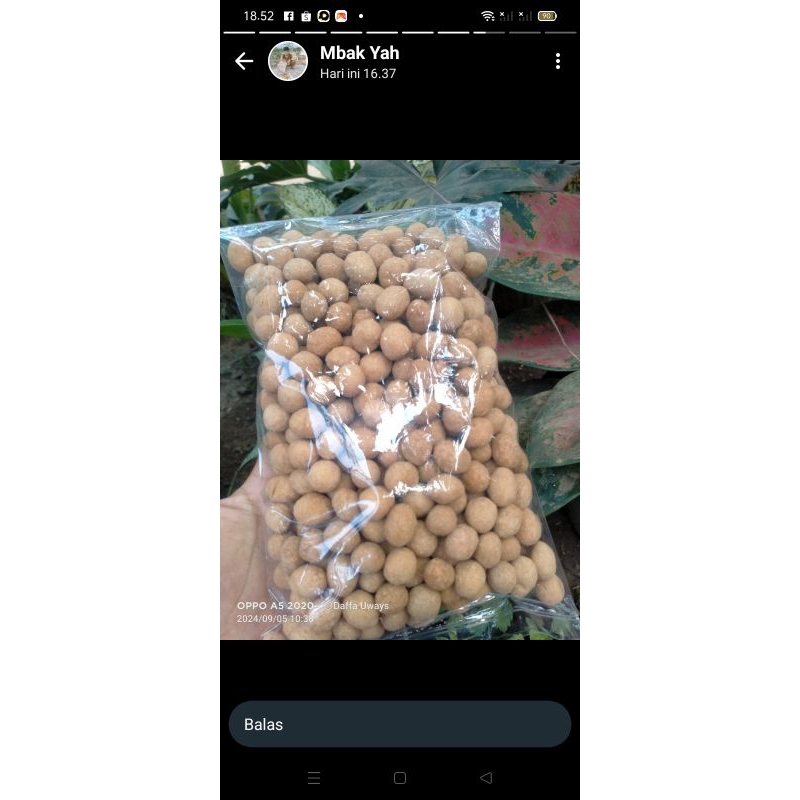 

TERMURAH kacang telur home made. selalu fress