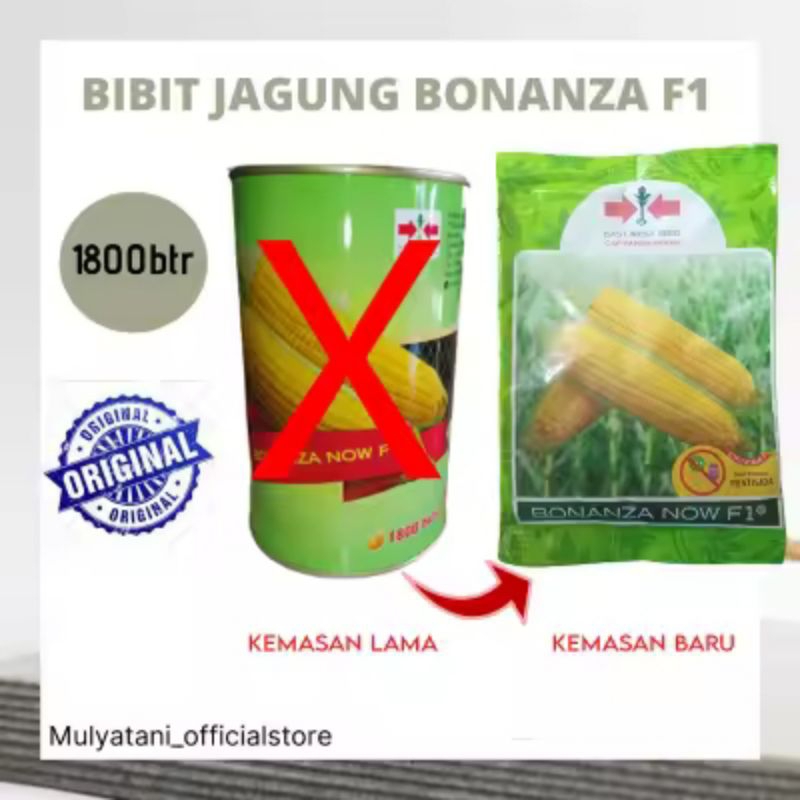 Bibit Benih Unggul Jagung Manis Bonanza F1 Now Isi 1800 Butir Cap Panah Merah Original