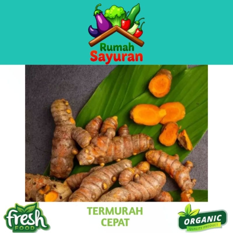 

Kunyit Kunir Koneng Super Fresh 1kg Termurah