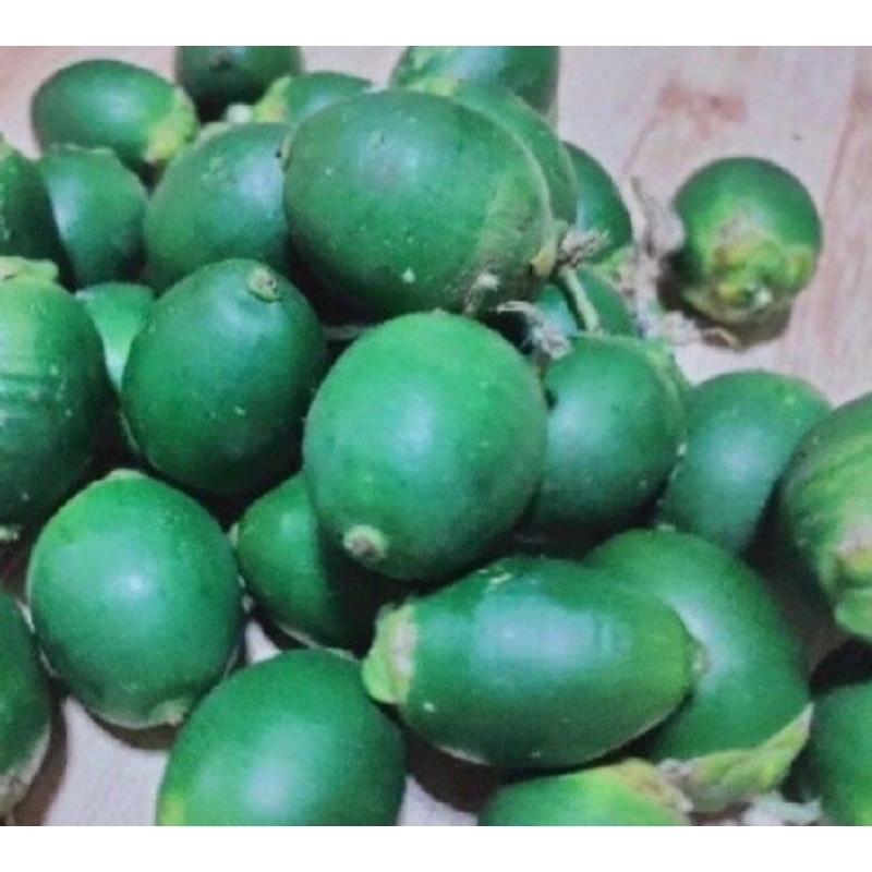 

pinang muda obat herbal murah untuk buat jus