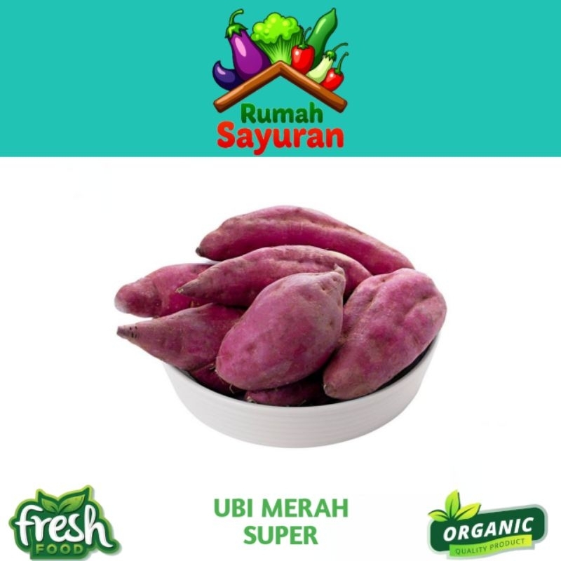 

Ubi Merah 1kg Super Fresh Langsung Dari Petani