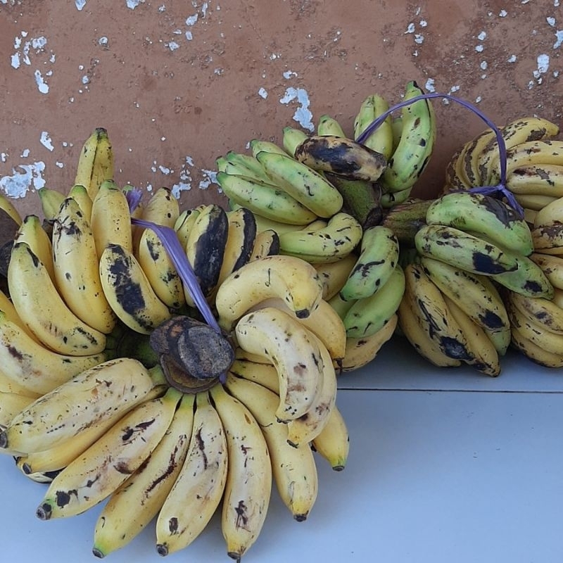 

Pisang Raja Cere -+1000 gram