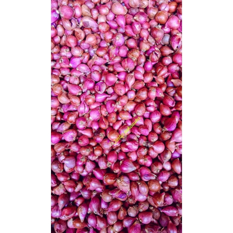 

[Termurah] Bawang Merah /Brambang Besar besar dan kering