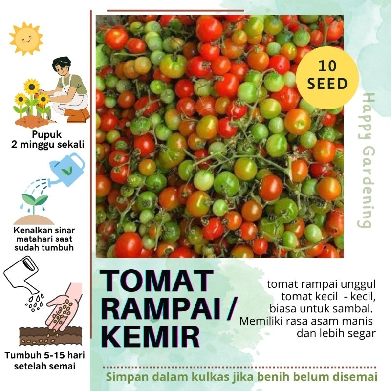 TOMAT RAMPAI / BIJI TOMAT SAMBAL RAMPAI / TOMAT KEMIR