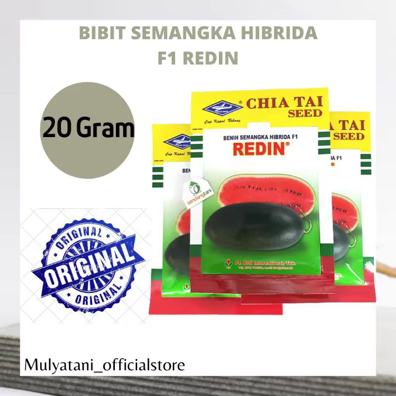 Bibit Benih Unggulan Semangka Hibrida Redin F1 Inul Lonjong 20 Gram Original Cap Panah Merah