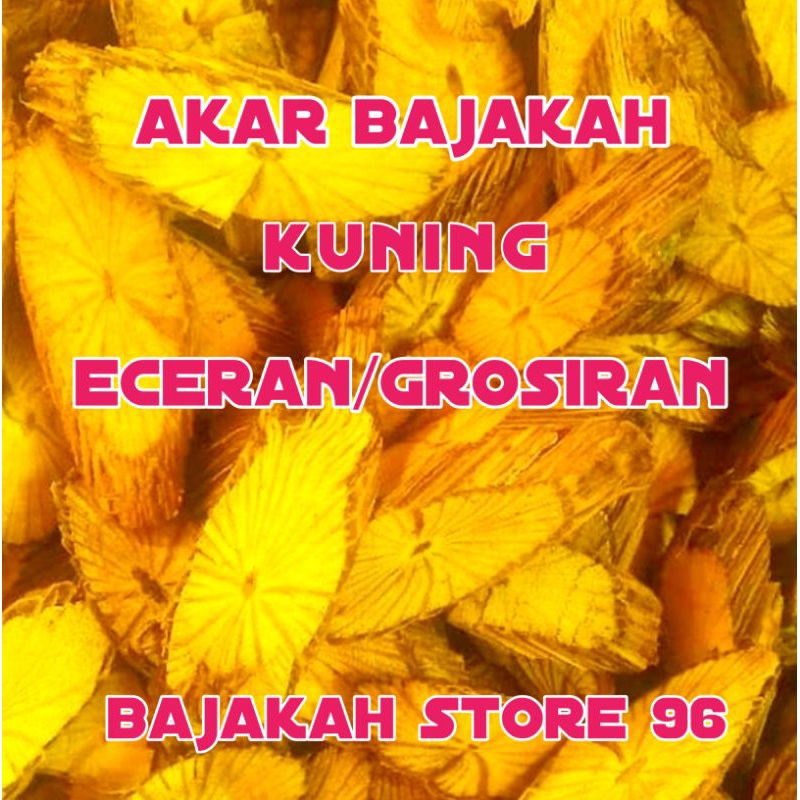 akar bajakah kuning asli kalimantan original bajakah akar kuning termurah
