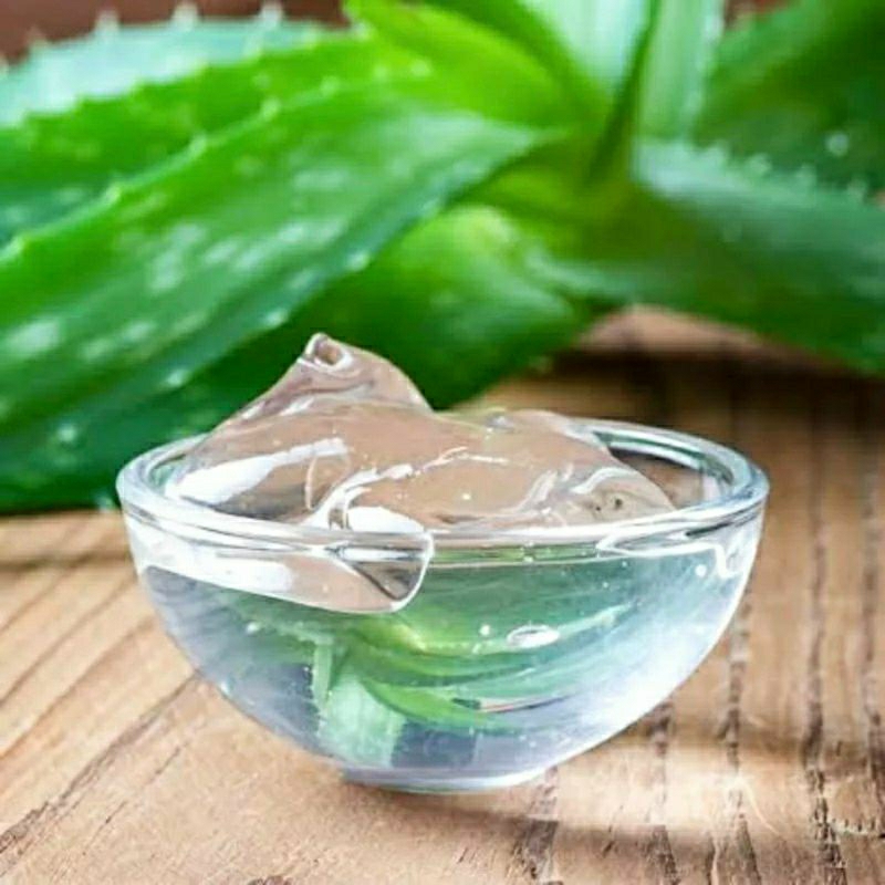 Gel lidah buaya aloe vera gel 200 g 100%dari lidah buaya organik