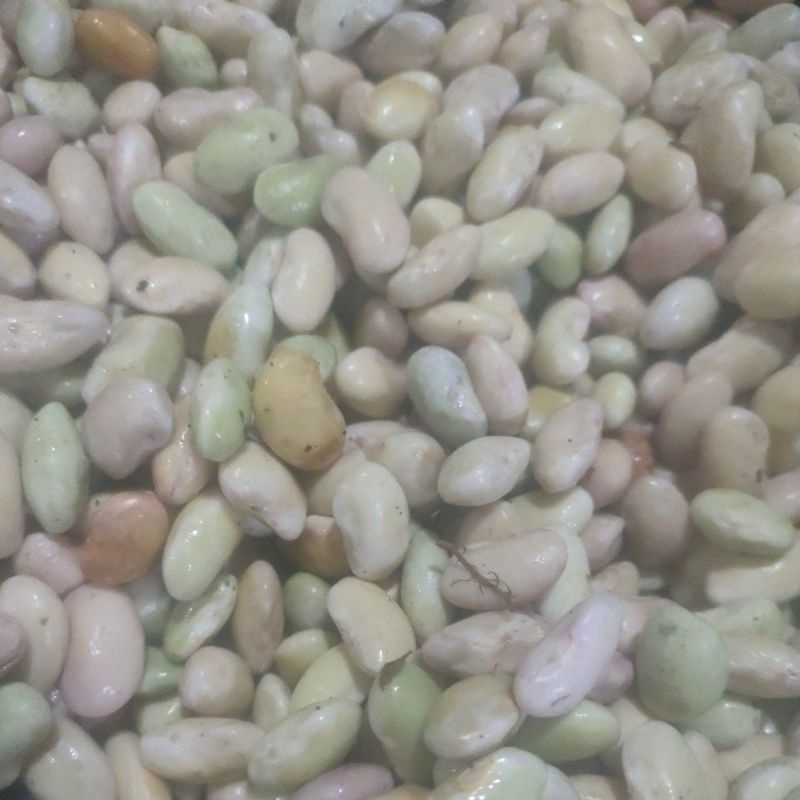 

Kacang endul 250 gram