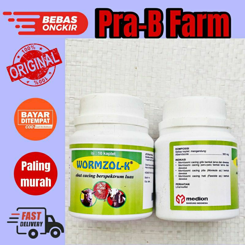 WORMZOL K 10 KAPLET MEDION obat cacing kambing obat cacing domba