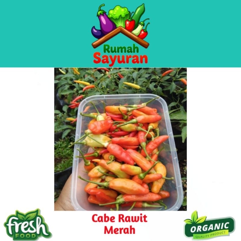 

Cabe Rawit Merah Jabl4y Super Fresh Extra Pedas 1kg