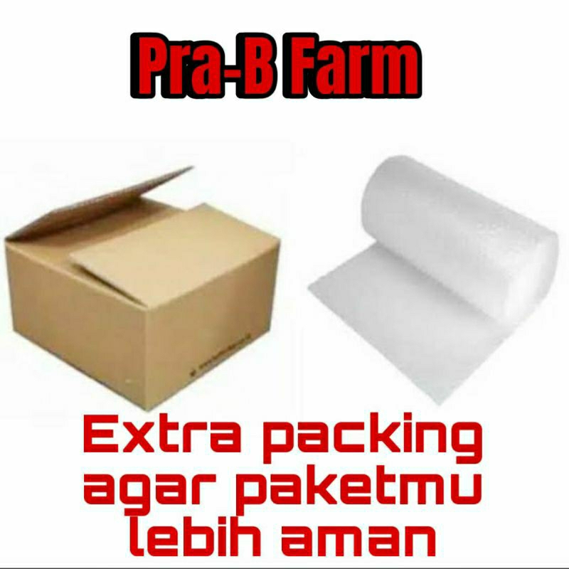 

Packing tambahan bubble wrap / kardus
