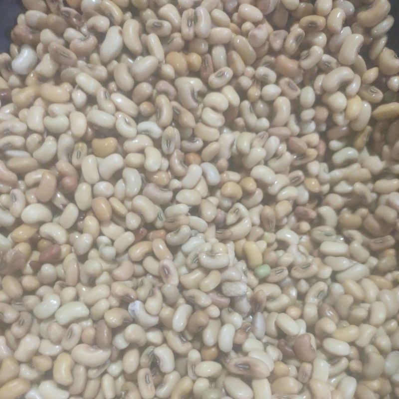 

Kacang gaji 250 gram