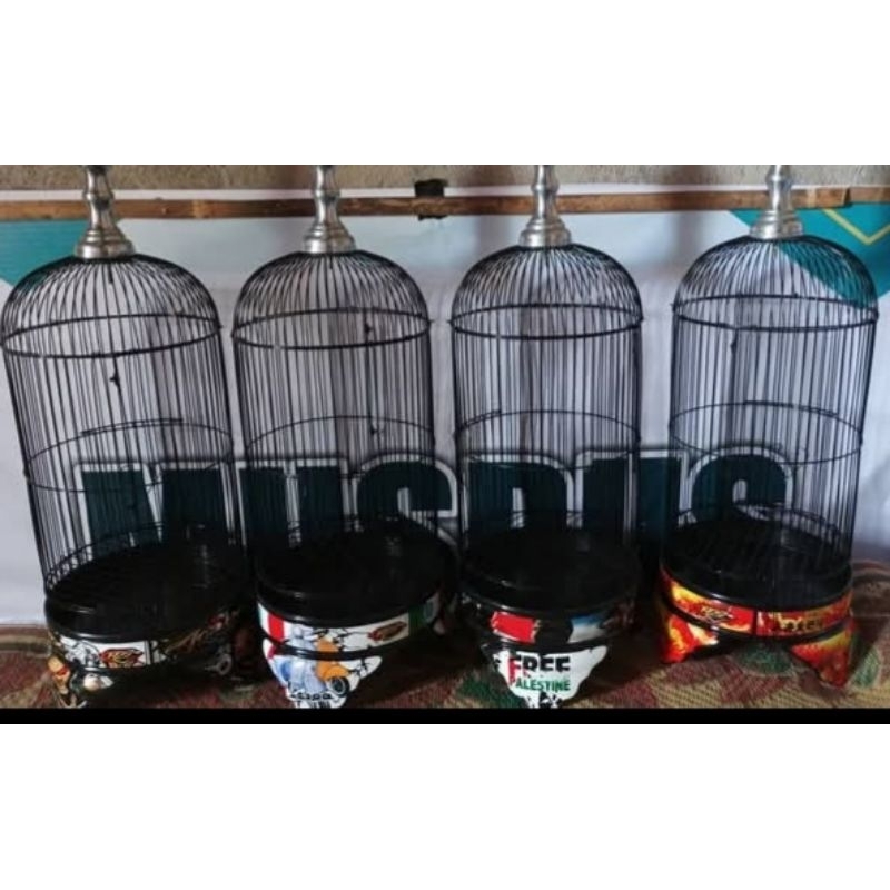 sangkar burung helopet pleci decal