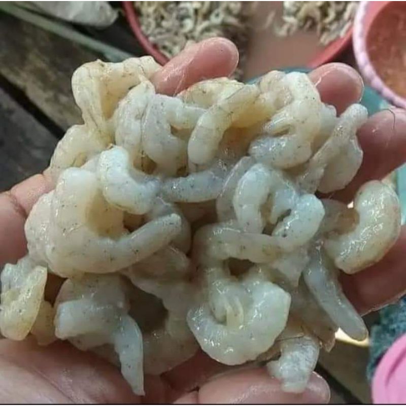 

udang kupas size 100-200